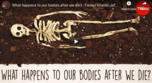 What happens to our bodies when we die?