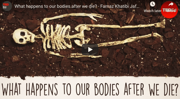 what-happens-to-our-bodies-when-we-die-when-you-die